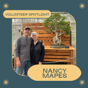 Volunteer Spotlight Nancy MApes